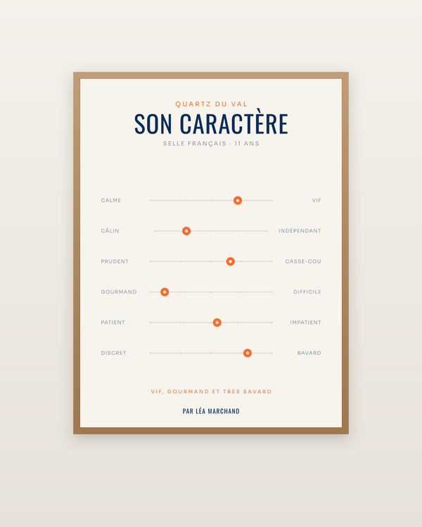 Affiche Caractère de cheval | son portrait en curseurs, encadrée dans un cadre bois naturel