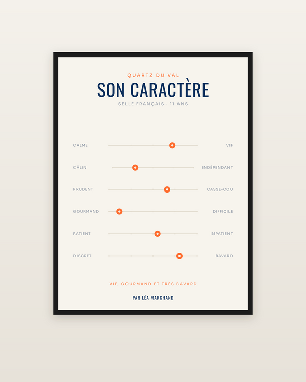 Affiche Caractère de cheval | son portrait en curseurs, encadrée dans un cadre noir