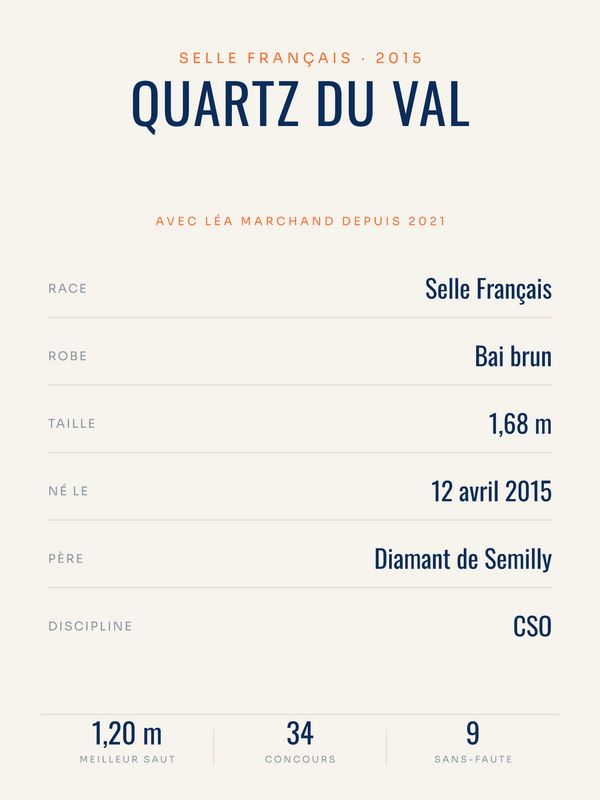 Affiche Cheval personnalisée avec son nom et sa fiche, imprimée en France sur papier premium