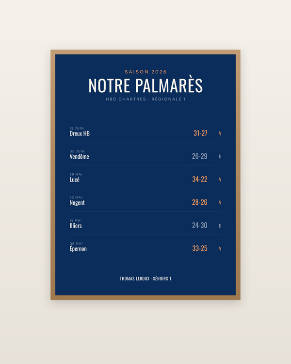 Affiche Palmarès de handball personnalisée, encadrée dans un cadre bois naturel