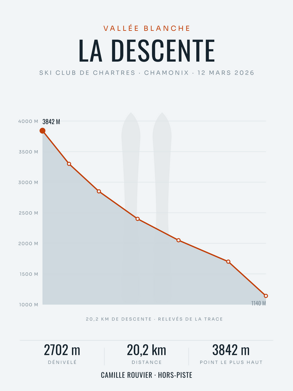 Le profil de descente | affiche ski personnalisée, imprimée en France sur papier premium