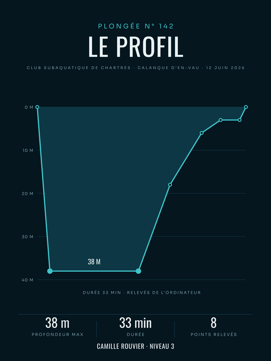 Affiche Profil de plongée personnalisée, imprimée en France sur papier premium