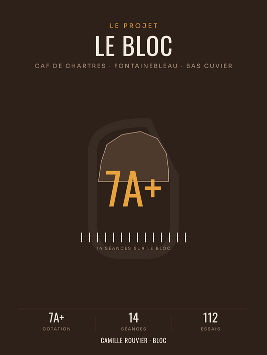 Affiche Projet de Bloc Escalade Personnalisée, imprimée en France sur papier premium