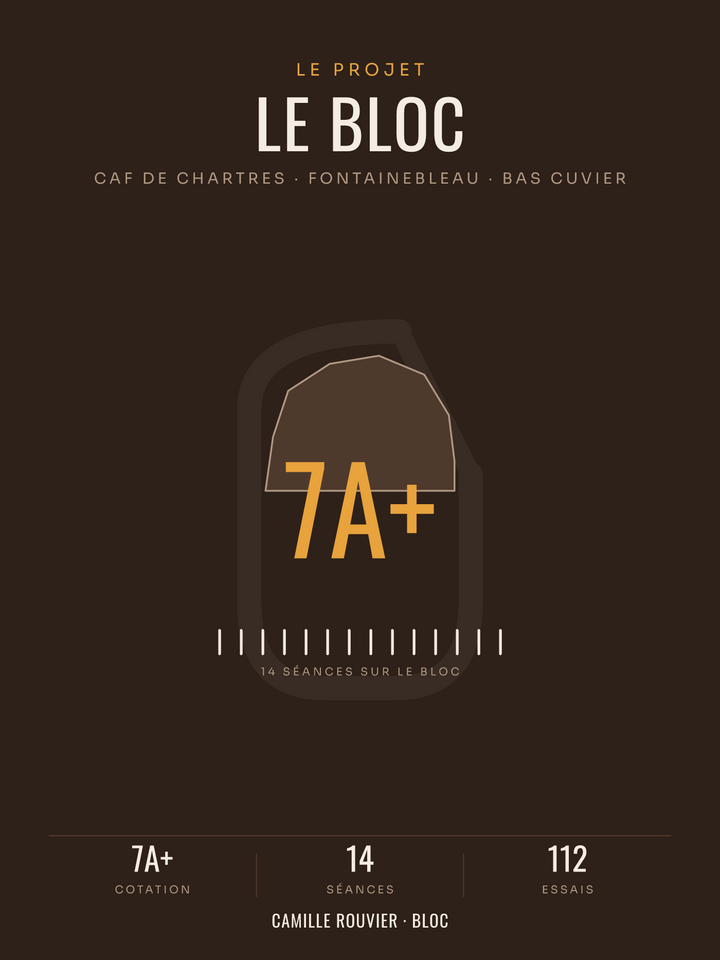 Affiche Projet de Bloc Escalade Personnalisée, imprimée en France sur papier premium