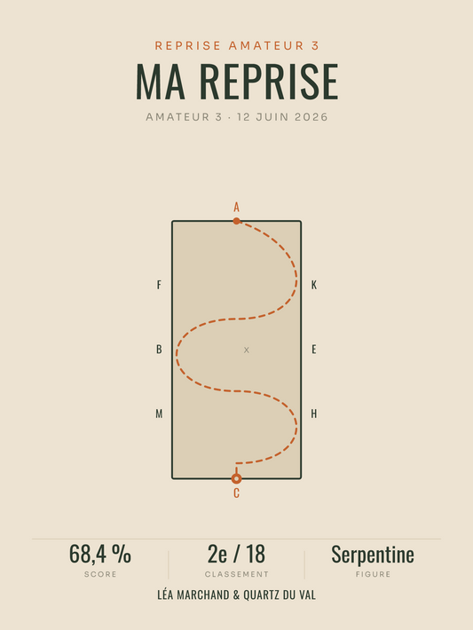 Affiche Reprise de dressage personnalisée, imprimée en France sur papier premium