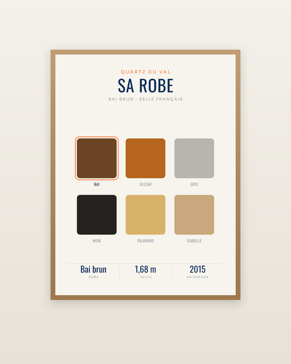 Affiche Robe de cheval personnalisée | celle du vôtre, encadrée dans un cadre bois naturel
