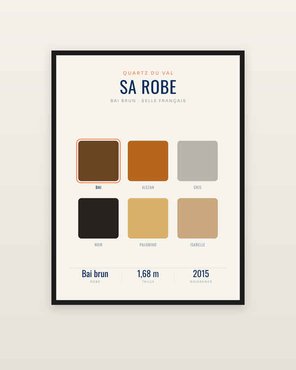Affiche Robe de cheval personnalisée | celle du vôtre, encadrée dans un cadre noir