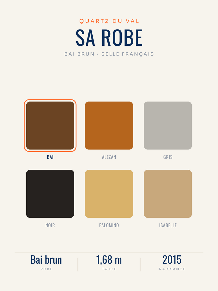 Affiche Robe de cheval personnalisée | celle du vôtre, imprimée en France sur papier premium