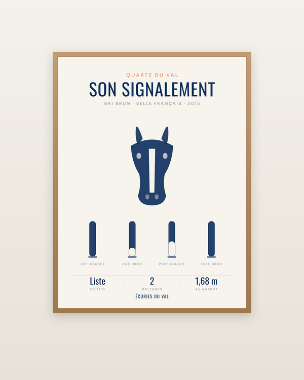 Affiche Signalement du cheval | marques et balzanes, encadrée dans un cadre bois naturel