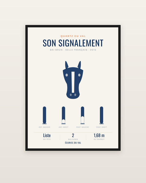 Affiche Signalement du cheval | marques et balzanes, encadrée dans un cadre noir