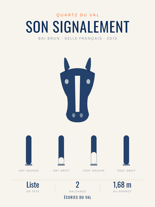 Affiche Signalement du cheval | marques et balzanes, affiche personnalisable imprimée en France