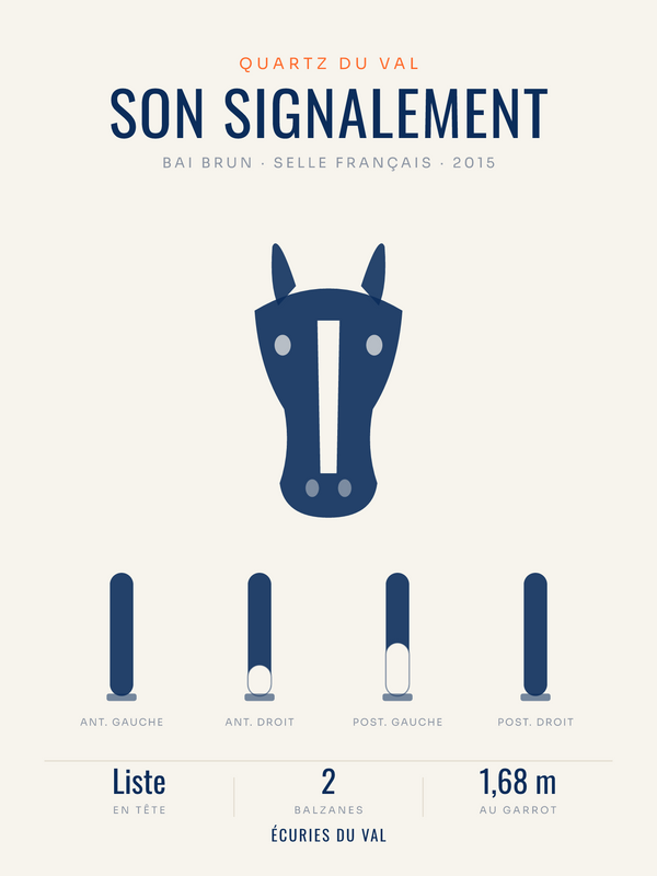 Affiche Signalement du cheval | marques et balzanes, affiche personnalisable imprimée en France