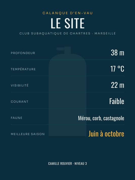 Affiche Site de plongée personnalisée, imprimée en France sur papier premium