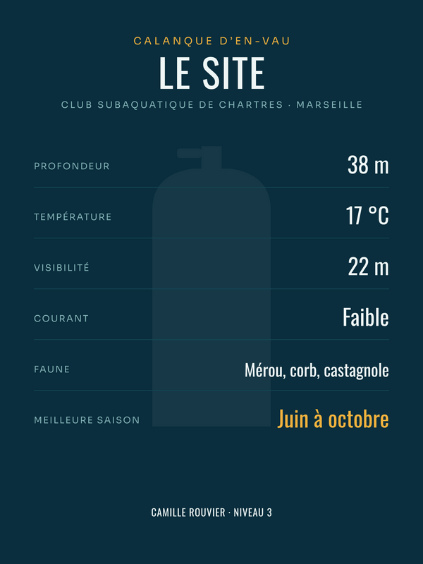 Affiche Site de plongée personnalisée, imprimée en France sur papier premium