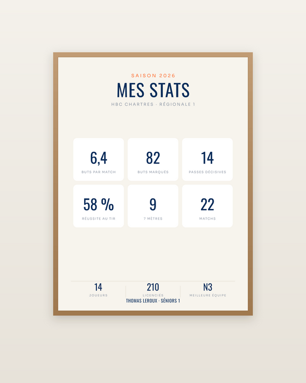 Affiche Statistiques de handball personnalisée, encadrée dans un cadre bois naturel