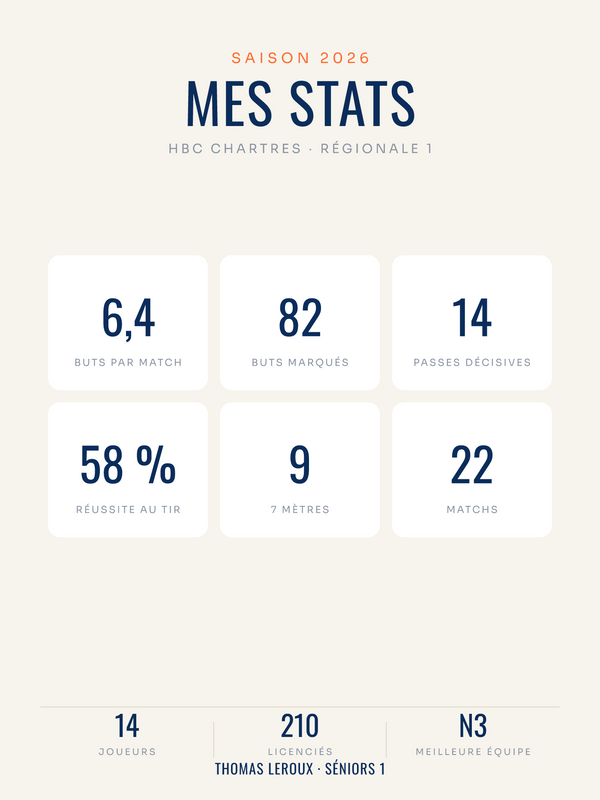 Affiche Statistiques de handball personnalisée, imprimée en France sur papier premium
