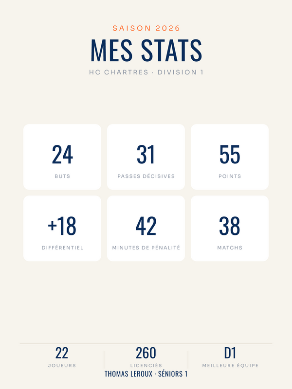 Affiche statistiques de hockey personnalisées, imprimée en France sur papier premium