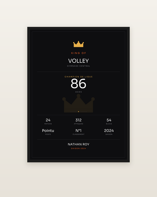 King of Volley, encadrée dans un cadre noir