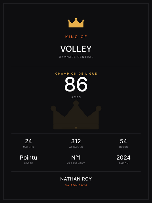 King of Volley