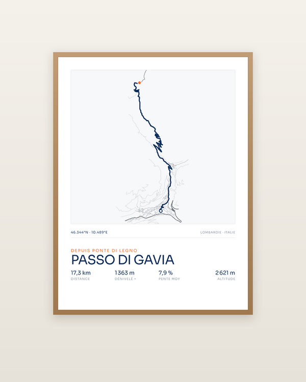 Passo di Gavia, encadrée dans un cadre bois naturel