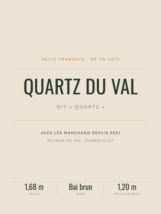 Poster Nom de cheval en grand | affiche typographique, affiche personnalisable imprimée en France