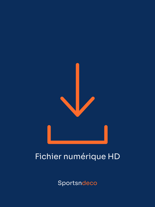 Option fichier numérique HD