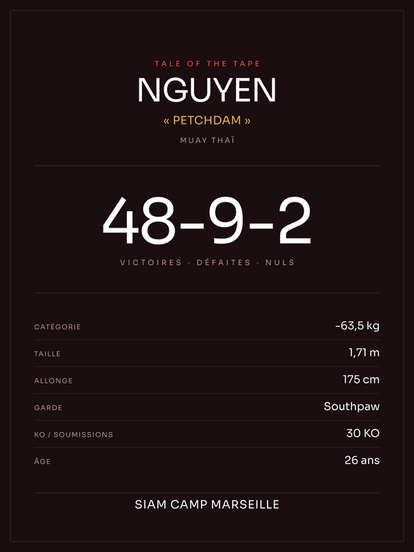 Tale of the Tape | Muay thaï, affiche personnalisable imprimée en France